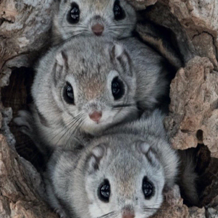 半田菜摘さんがフジTV「セブンルール」に登場します！