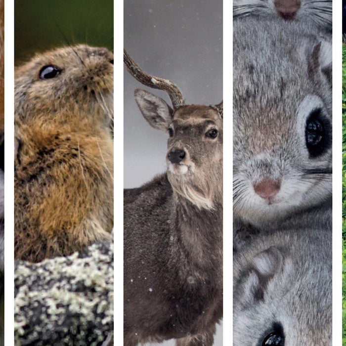 写真集のように美しいドリップ珈琲