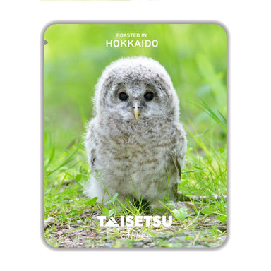 ふくちゃん エゾフクロウ かわいいひよこ | フクちゃん佐藤慶が撮影した貴重な写真