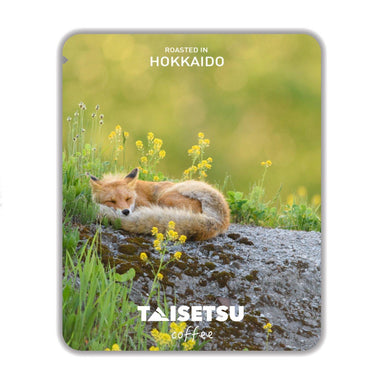 午後のアカギツネの昼寝 |半田なつみさんの作品