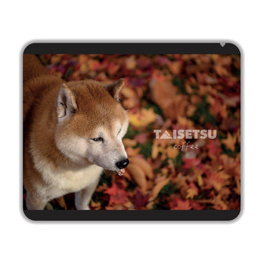 殿君 - 秋 - Taisetsu Coffee - ドリップコーヒー プチギフト 珈琲 コーヒー パッケージ  お誕生日に お礼の品に オリジナルギフト